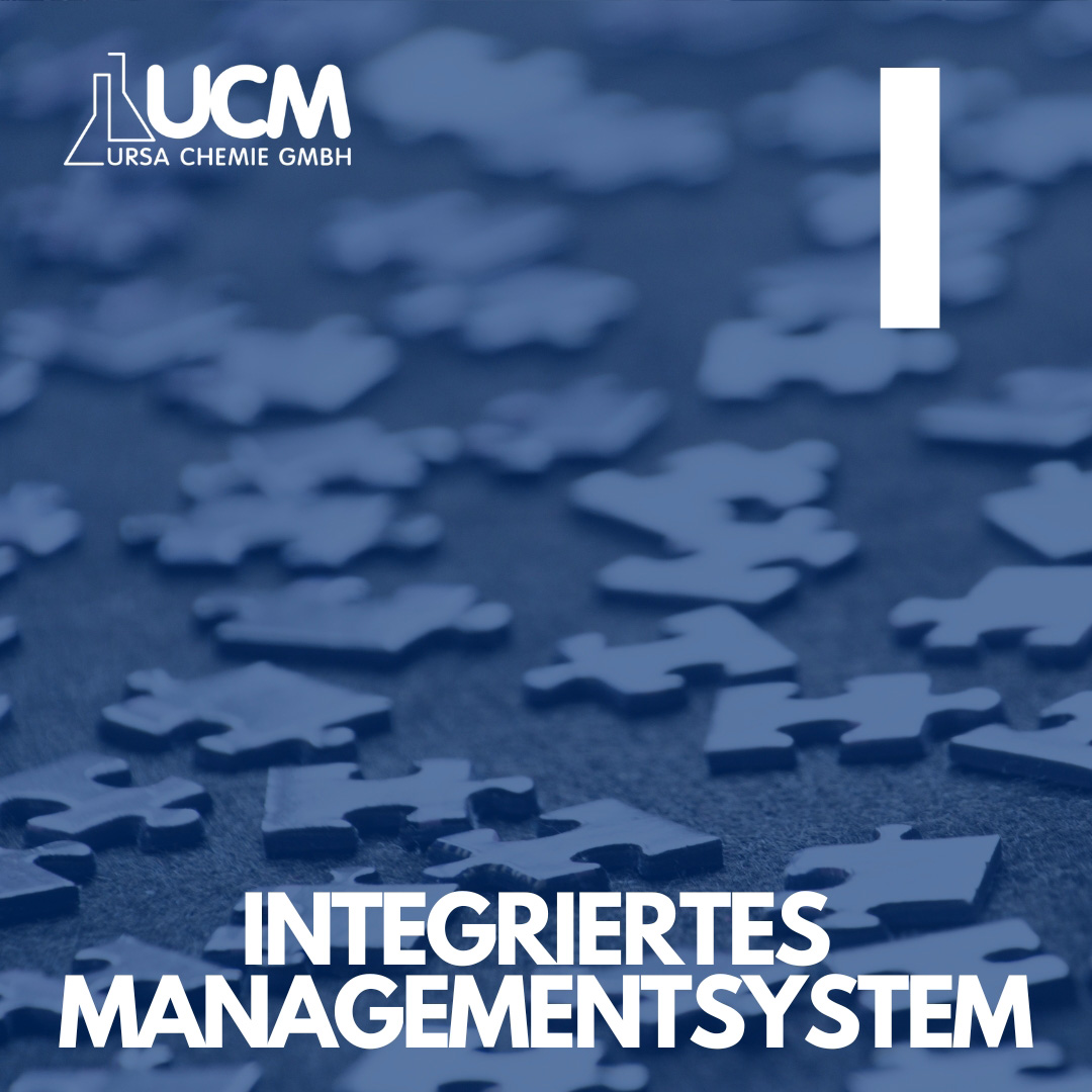 Integriertes Managementsystem