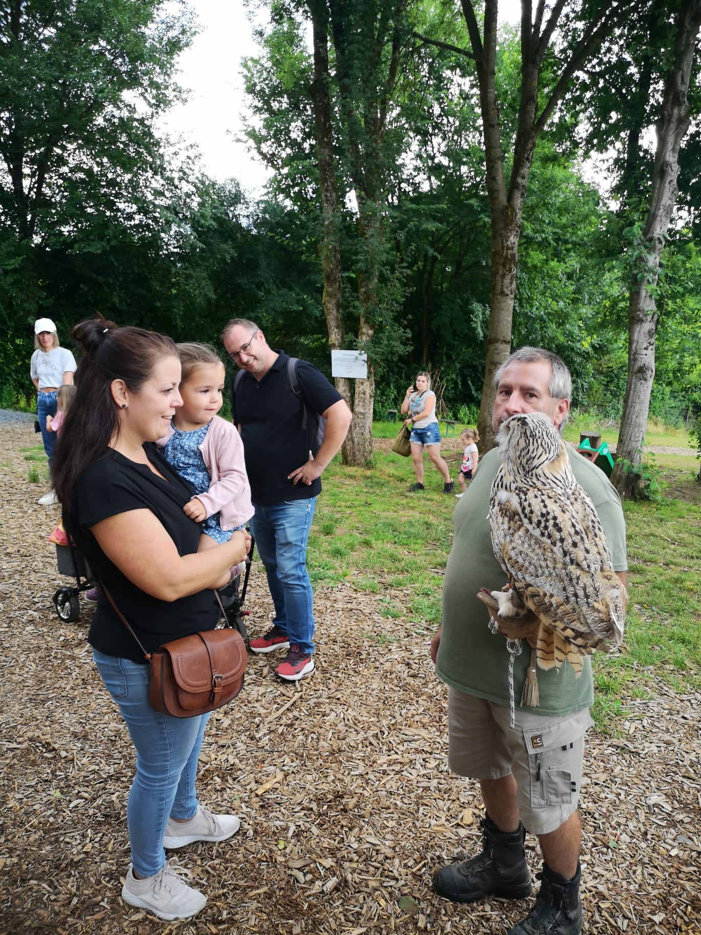 Greifvogel Show